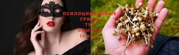 кокаин перу Новозыбков