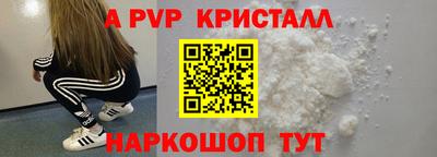 спиды Гай