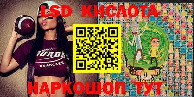 гидропоника Гатчина