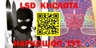 спиды Гай
