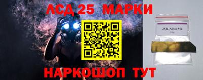спиды Гай