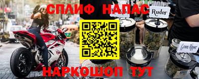 спиды Гай