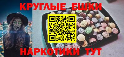 гидропоника Гатчина