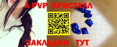 спиды Гай