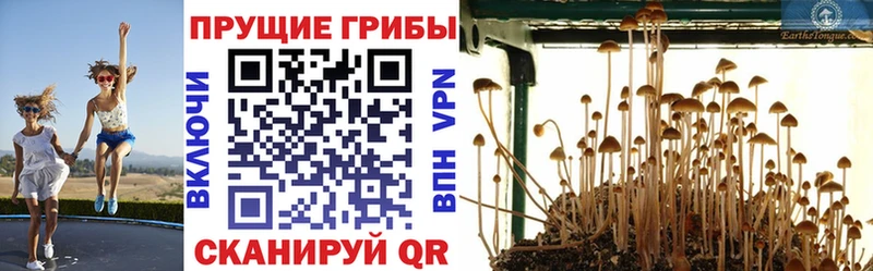 Псилоцибиновые грибы мухоморы Лениногорск