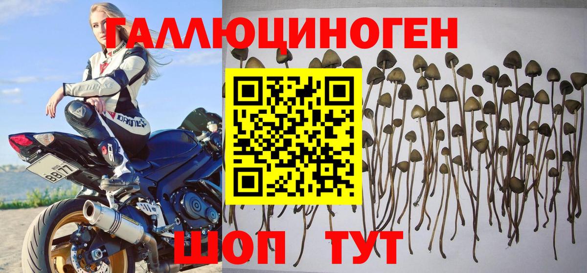 Псилоцибиновые грибы ЛСД Лениногорск