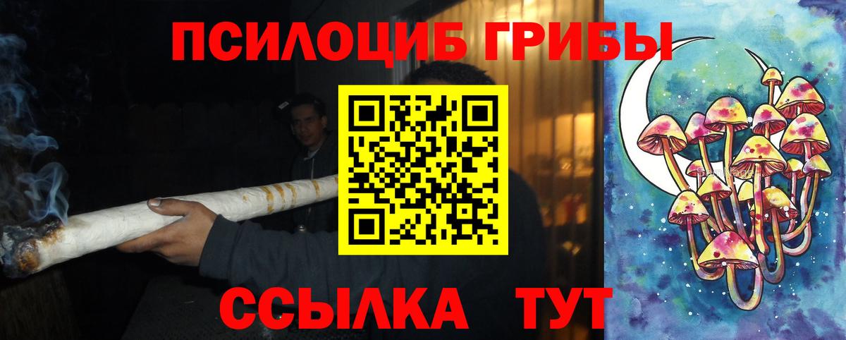 Галлюциногенные грибы прущие грибы  Вход с VPN  Лениногорск 